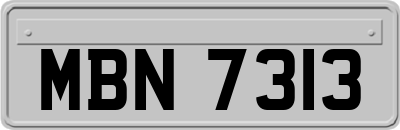 MBN7313
