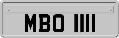 MBO1111