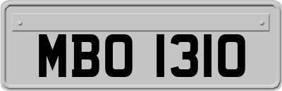 MBO1310