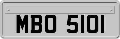 MBO5101