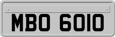 MBO6010