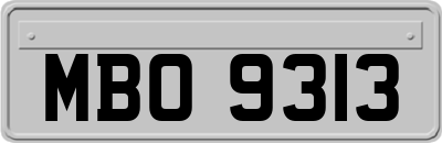 MBO9313