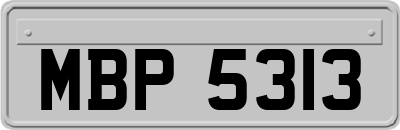 MBP5313