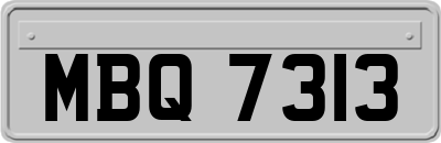 MBQ7313