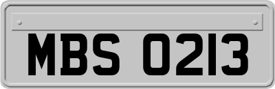 MBS0213