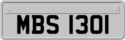 MBS1301