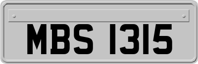 MBS1315