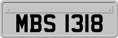 MBS1318