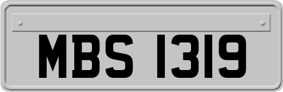 MBS1319