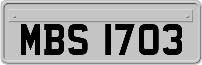 MBS1703