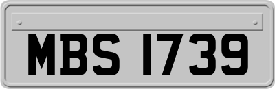 MBS1739