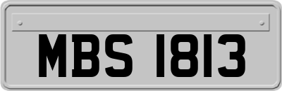 MBS1813