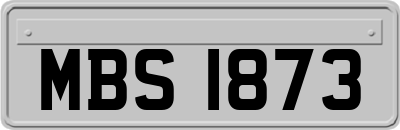 MBS1873