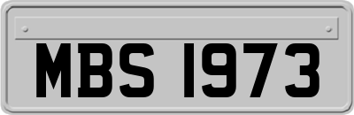 MBS1973