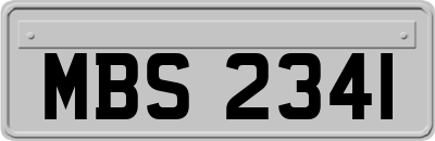 MBS2341