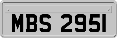MBS2951