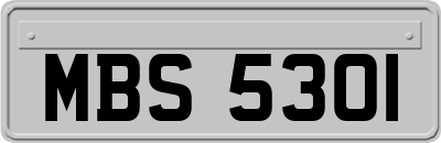 MBS5301