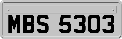 MBS5303