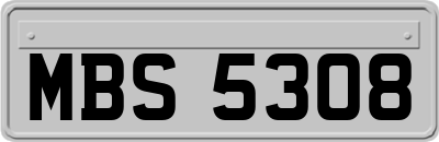 MBS5308