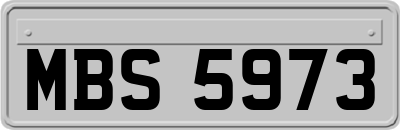 MBS5973