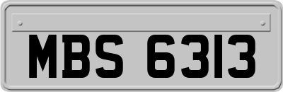 MBS6313