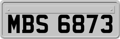 MBS6873