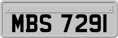 MBS7291