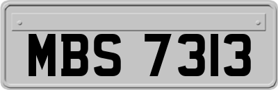 MBS7313