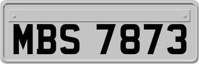 MBS7873