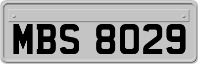 MBS8029