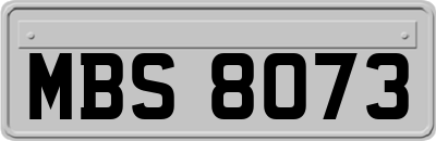 MBS8073