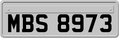MBS8973
