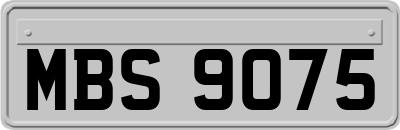 MBS9075