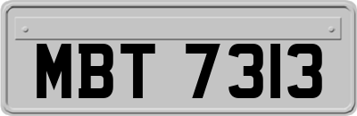 MBT7313