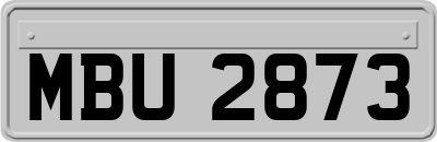 MBU2873