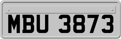 MBU3873