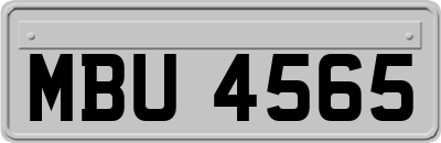 MBU4565