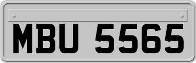 MBU5565