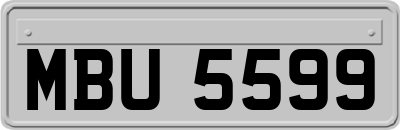 MBU5599