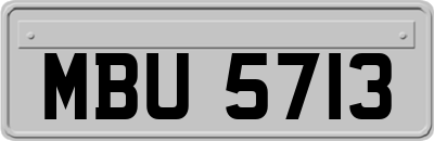 MBU5713