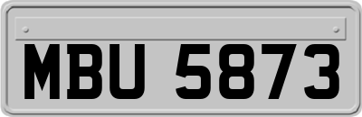 MBU5873