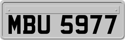 MBU5977