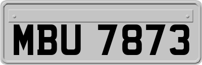 MBU7873