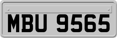 MBU9565