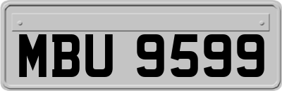 MBU9599