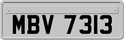 MBV7313
