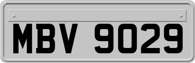 MBV9029