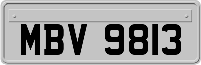 MBV9813