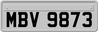 MBV9873