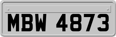 MBW4873
